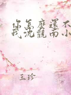 你怎么还不来哄我沈观南小说免费阅读