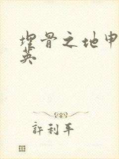 埋骨之地申屠奎英