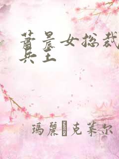 萧晨女总裁全能兵王