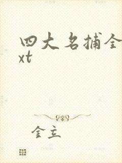 四大名捕全集txt