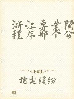 浙江专业开发小程序哪个公司比较权威