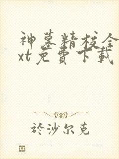 神墓精校全本txt免费下载