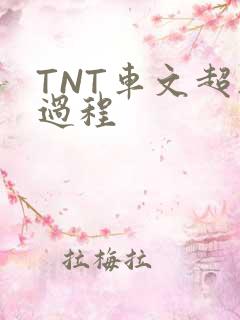 TNT车文超细过程