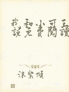 我和小可王强小说免费阅读