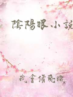 阴阳眼小说