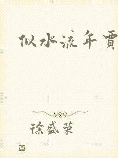 似水流年贾二虎