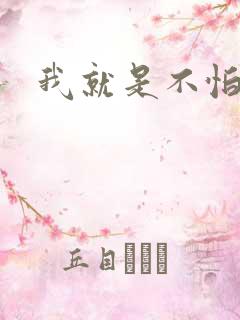 我就是不怕小说