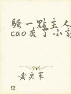 骚一点主人把你cao爽了小说