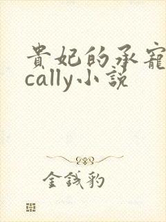 贵妃的承宠日常cally小说