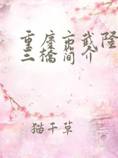 重庆市武隆天生三桥简介