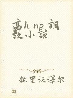 高h np 调教小说