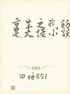 重生之我的老公是大佬小说