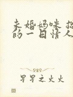 未婚妈咪 总裁的一日情人