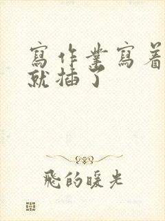 写作业写着写着就插了