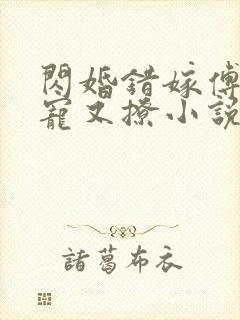 闪婚错嫁傅爷又宠又撩小说