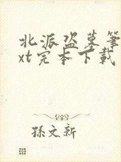 北派盗墓笔记txt完本下载