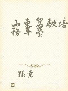 山东驾驶培训服务平台