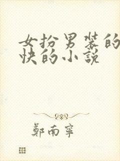 女扮男装的女捕快的小说