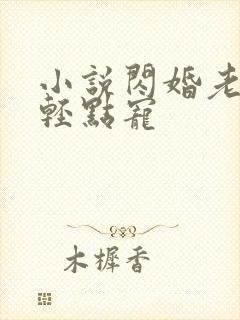 小说闪婚老公:轻点宠