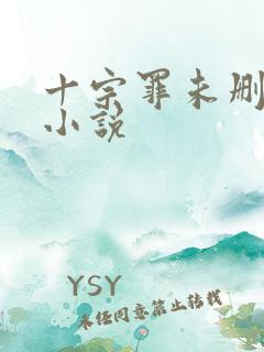 十宗罪未删减版小说