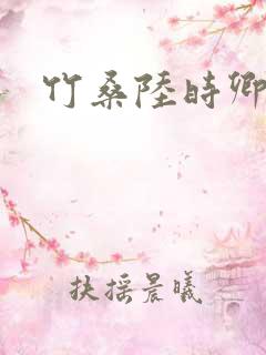 竹桑陆时卿小说