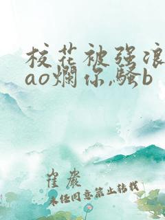 校花被强浪货cao烂你,骚b