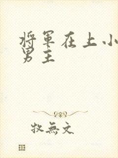 将军在上小说双男主