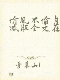 偷风不偷月无删减版全文在线阅读