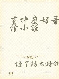 有什么好看的言情小说