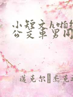 小短文h啪纯肉公交车男同