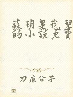 苏玥是我儿媳妇的小说免费阅读