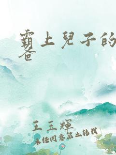 霸上儿子的总裁爸