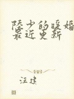 陆少的暖婚新妻最近更新