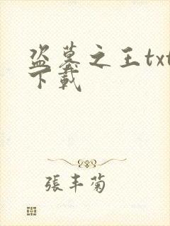 盗墓之王txt下载