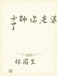 少帅你老婆又跑了