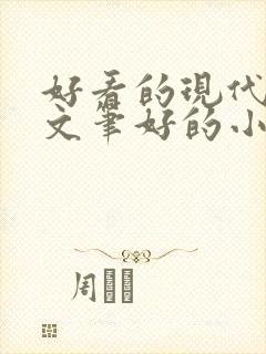 好看的现代言情文笔好的小说