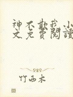 神不欺我小说全文免费阅读