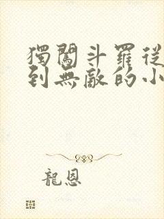 独闯斗罗从穿越到无敌的小说