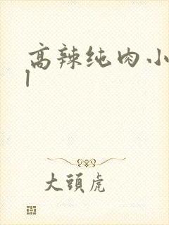 高辣纯肉小说bl