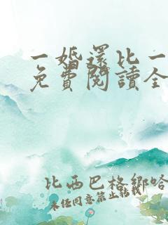 一婚还比一婚高免费阅读全文小说