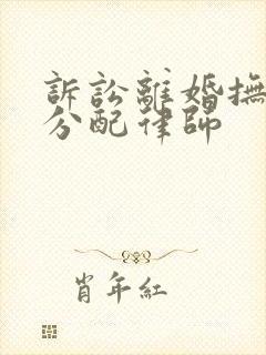 诉讼离婚抚养权分配律师