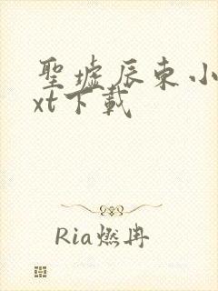 圣墟辰东小说txt下载