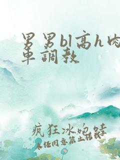 男男bl高h肉车调教