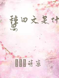 种田文是什么意思