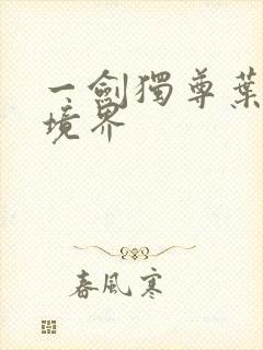 一剑独尊叶玄的境界