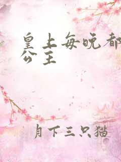 皇上每晚都要H公主