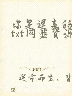 你是迟来的欢喜txt网盘资源