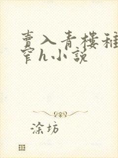 卖入青楼稚嫩紧窄h小说