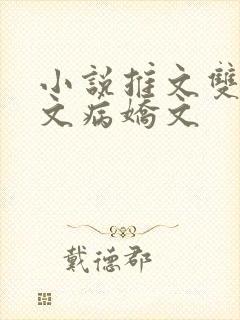 小说推文双男主文病娇文