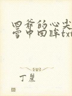 四爷的心尖宠妃雪中回眸txt